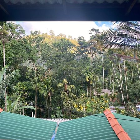 Cozy Homestay Waterfall Road エッラ エクステリア 写真