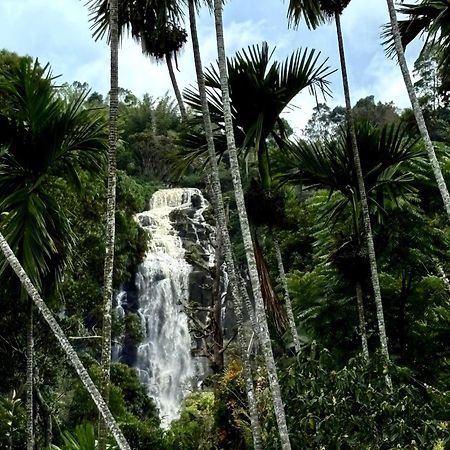 Cozy Homestay Waterfall Road エッラ エクステリア 写真
