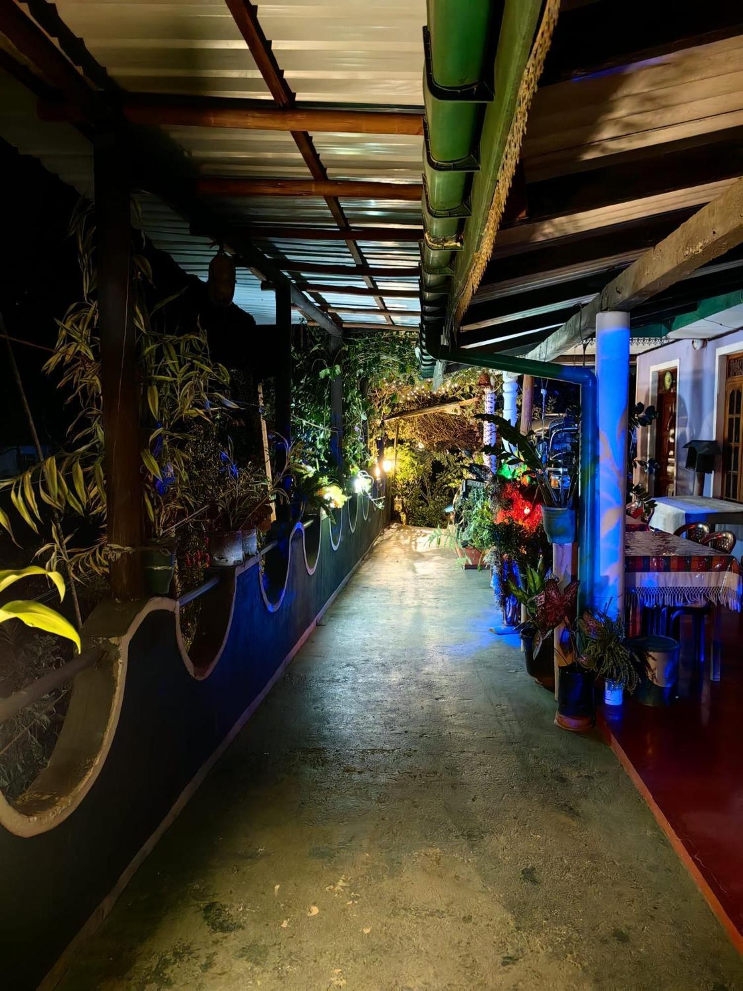 Cozy Homestay Waterfall Road エッラ エクステリア 写真
