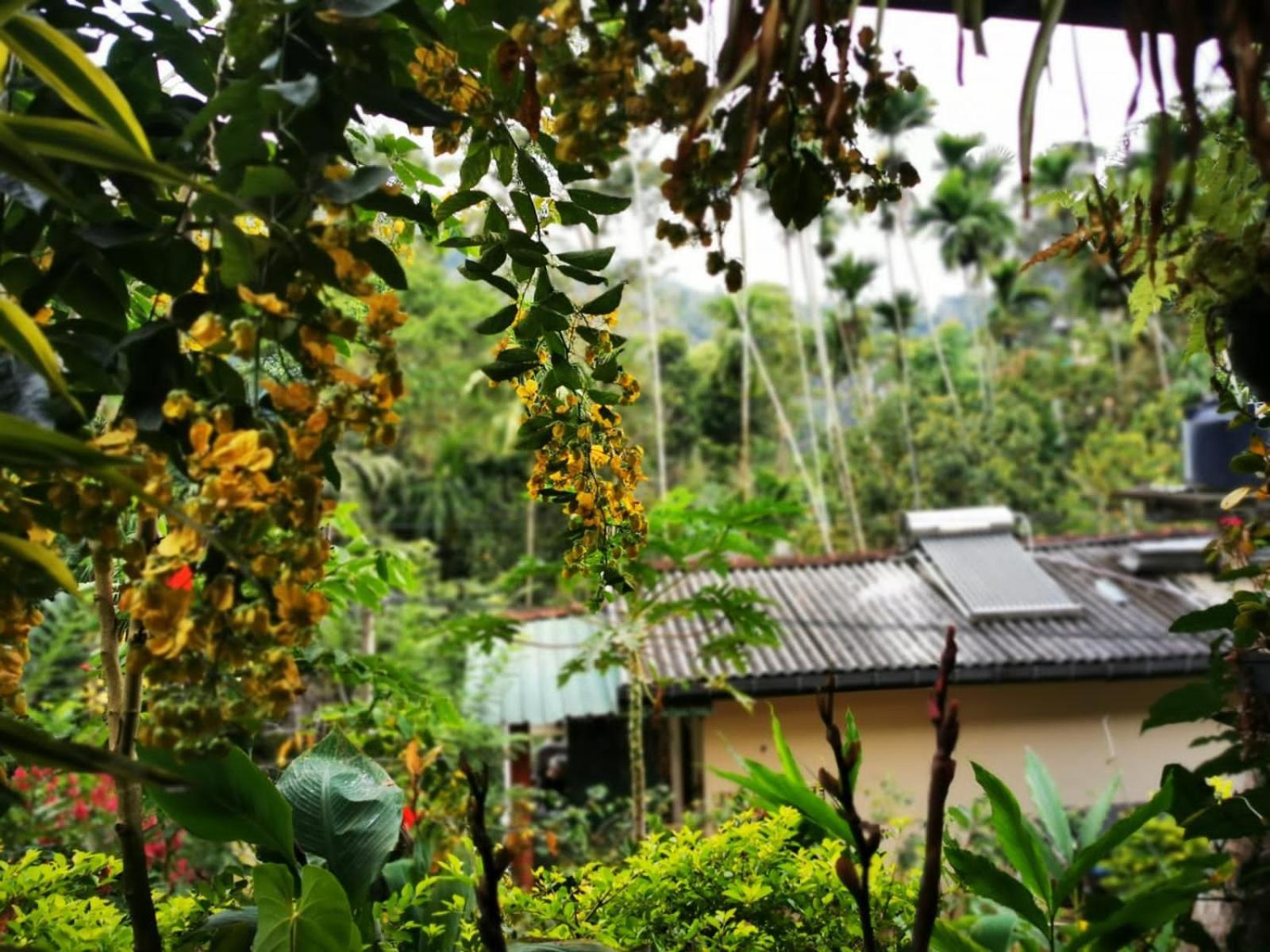 Cozy Homestay Waterfall Road エッラ エクステリア 写真