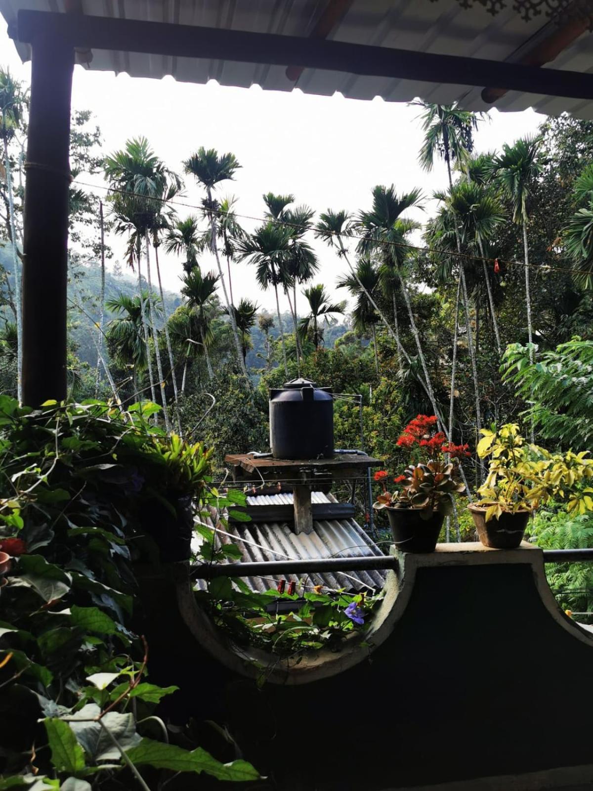 Cozy Homestay Waterfall Road エッラ エクステリア 写真