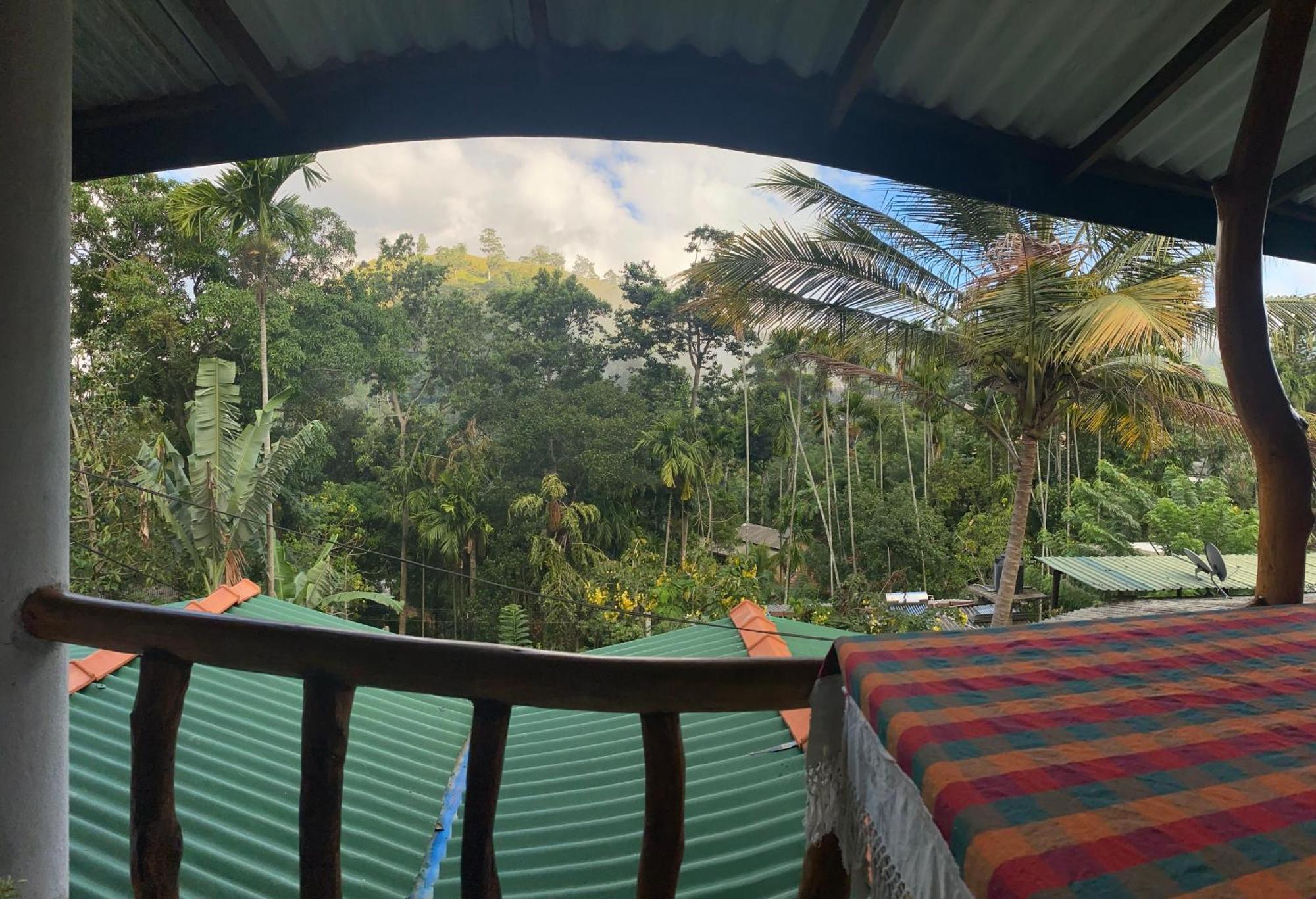 Cozy Homestay Waterfall Road エッラ エクステリア 写真