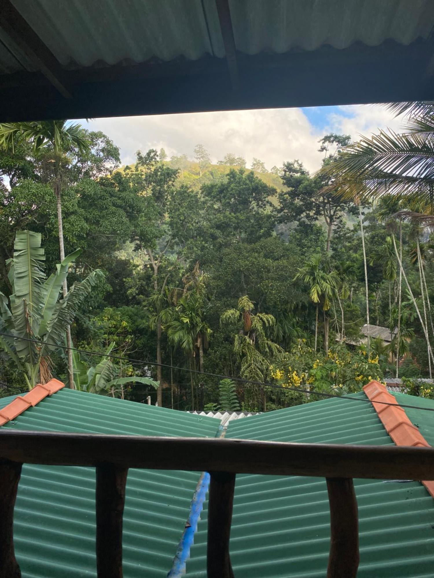 Cozy Homestay Waterfall Road エッラ エクステリア 写真