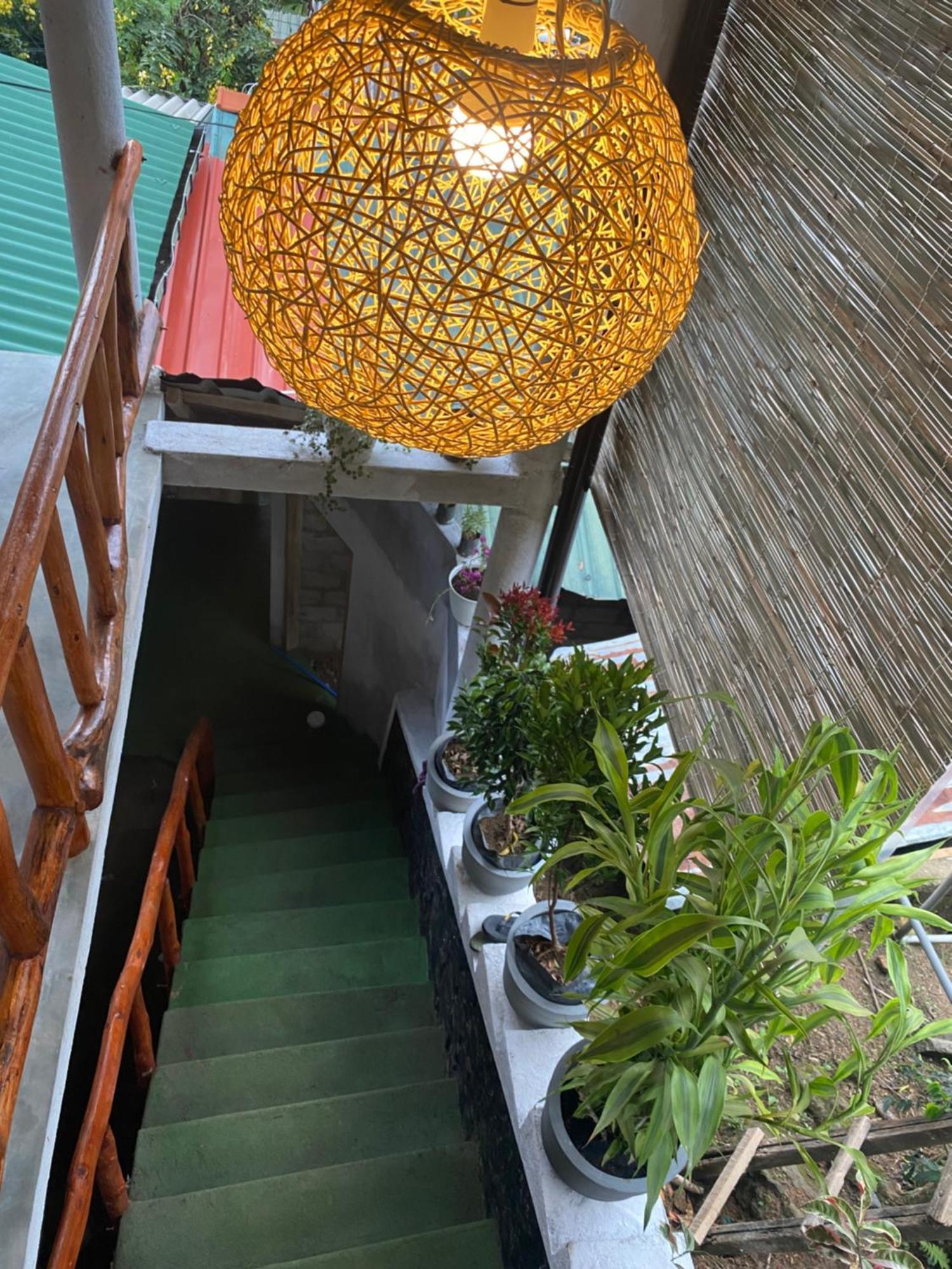 Cozy Homestay Waterfall Road エッラ エクステリア 写真
