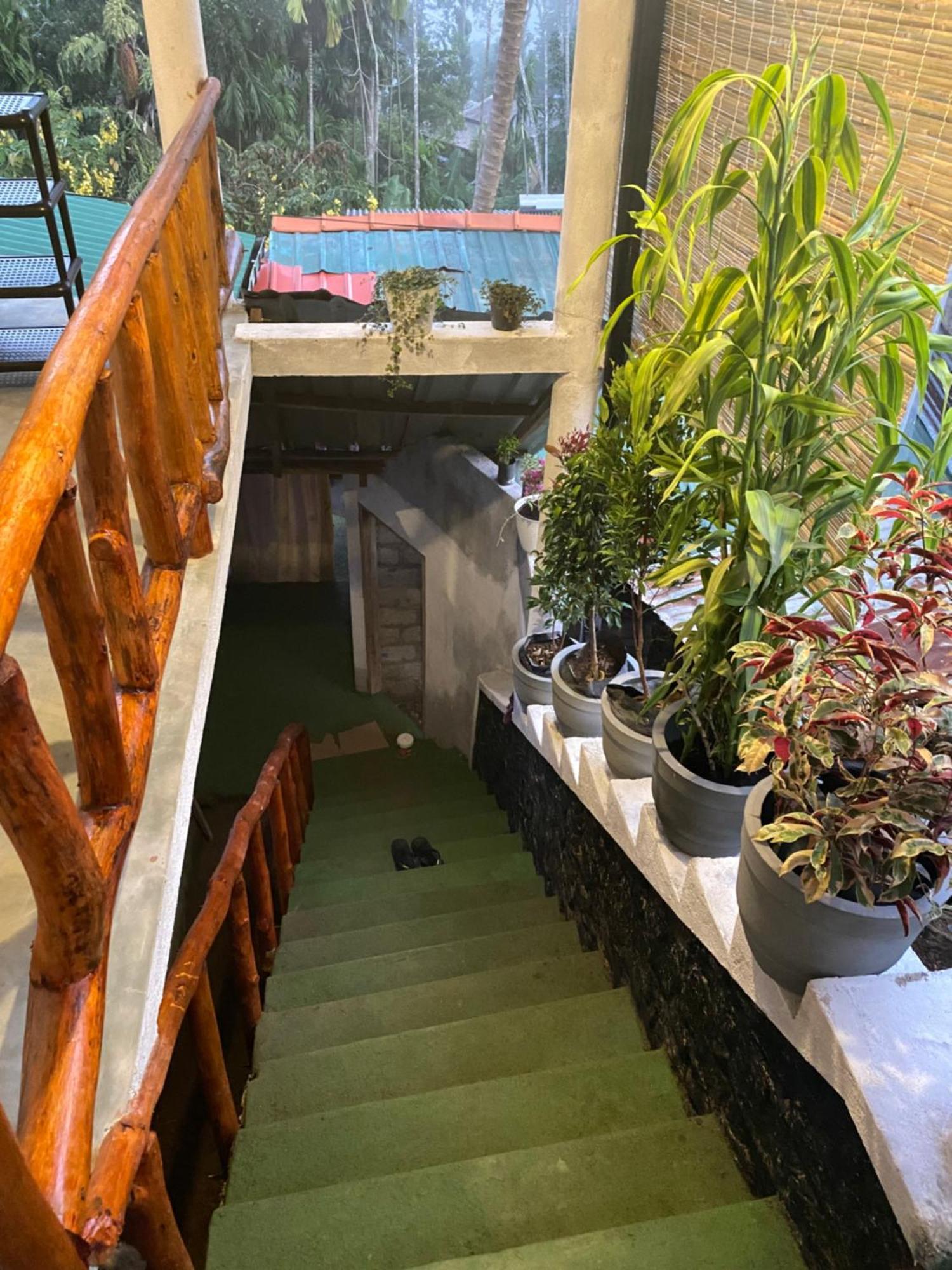 Cozy Homestay Waterfall Road エッラ エクステリア 写真