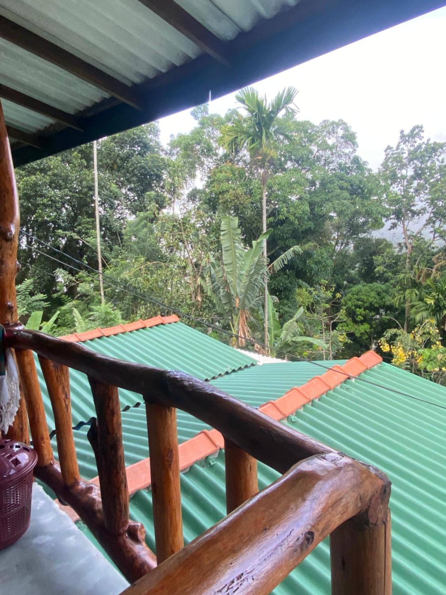 Cozy Homestay Waterfall Road エッラ エクステリア 写真