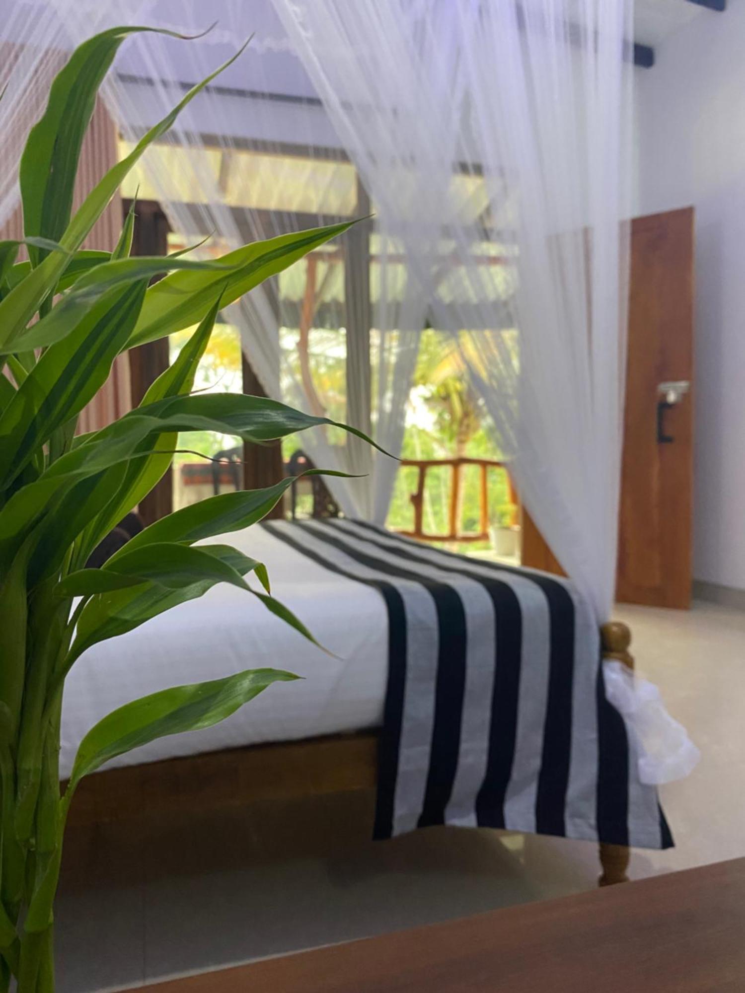Cozy Homestay Waterfall Road エッラ エクステリア 写真