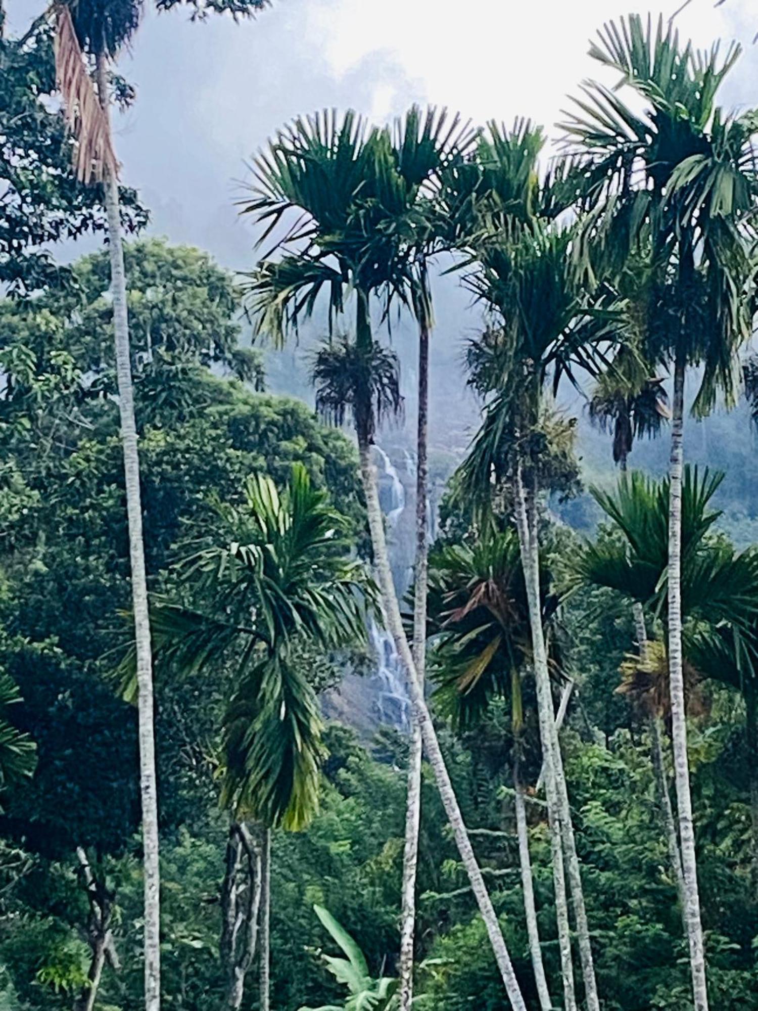 Cozy Homestay Waterfall Road エッラ エクステリア 写真