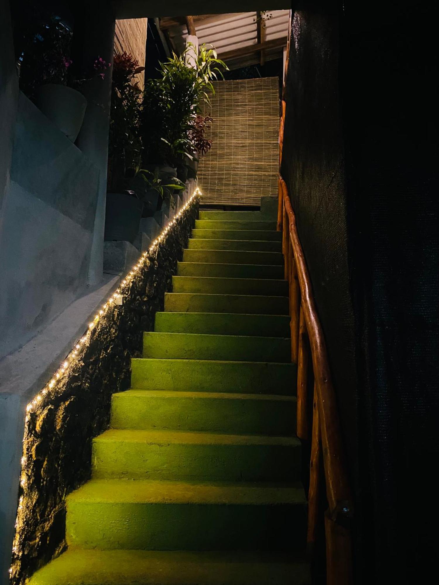 Cozy Homestay Waterfall Road エッラ エクステリア 写真
