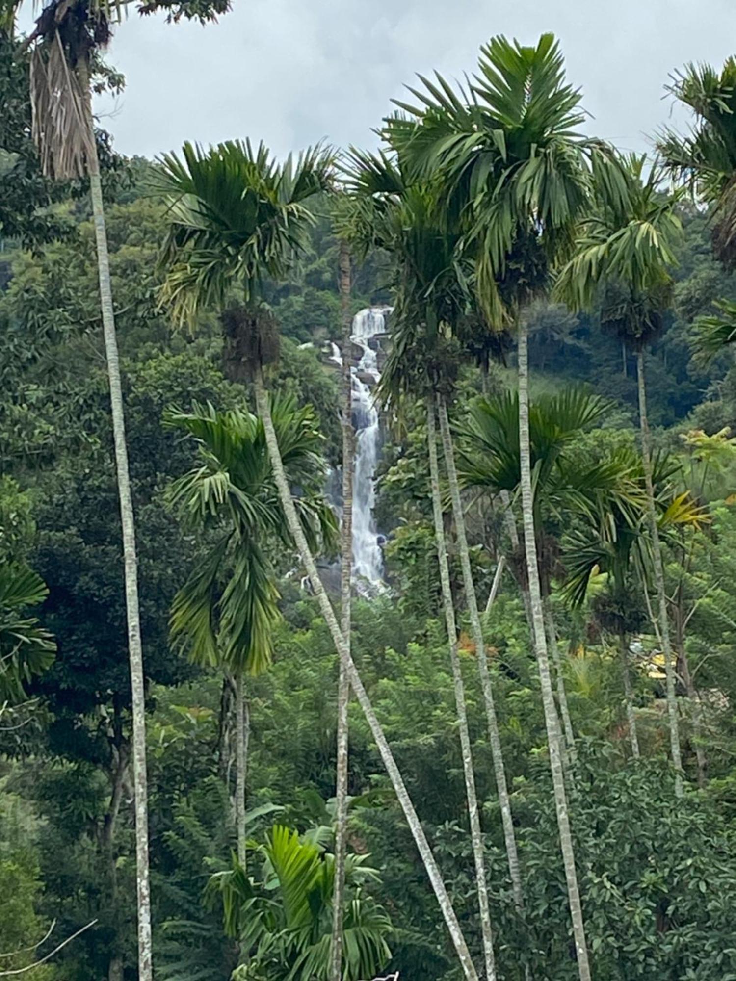 Cozy Homestay Waterfall Road エッラ エクステリア 写真