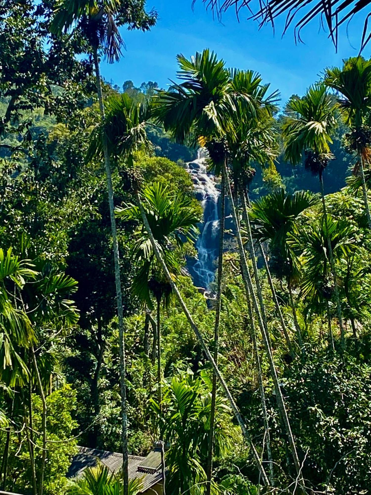 Cozy Homestay Waterfall Road エッラ エクステリア 写真