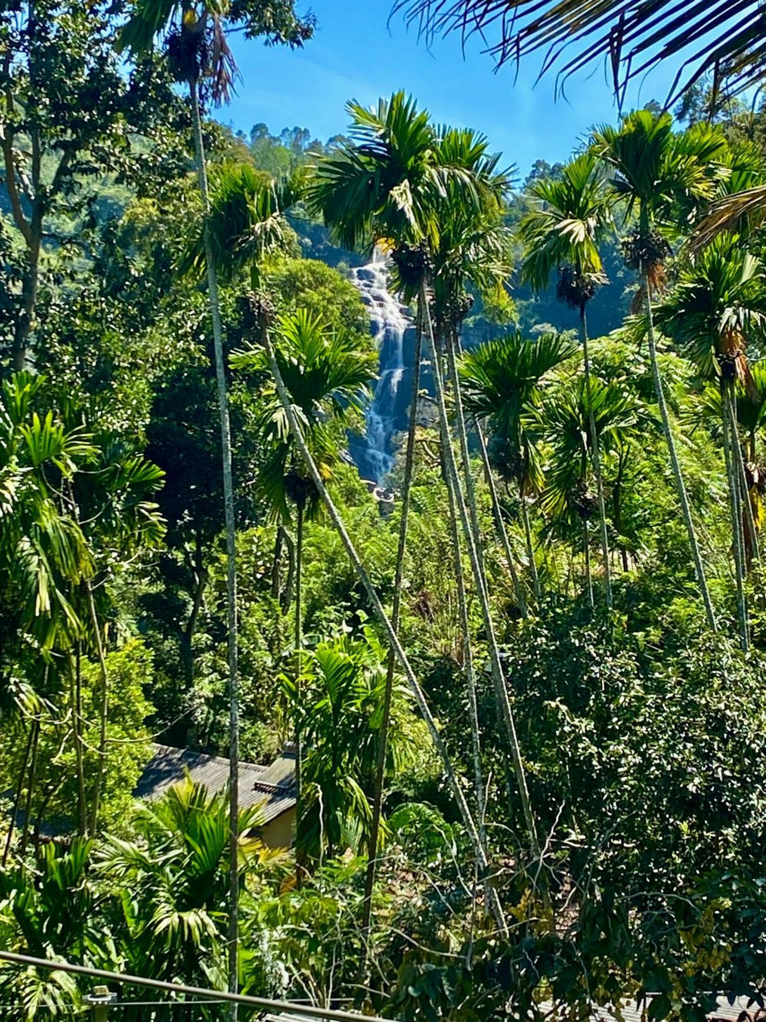 Cozy Homestay Waterfall Road エッラ エクステリア 写真