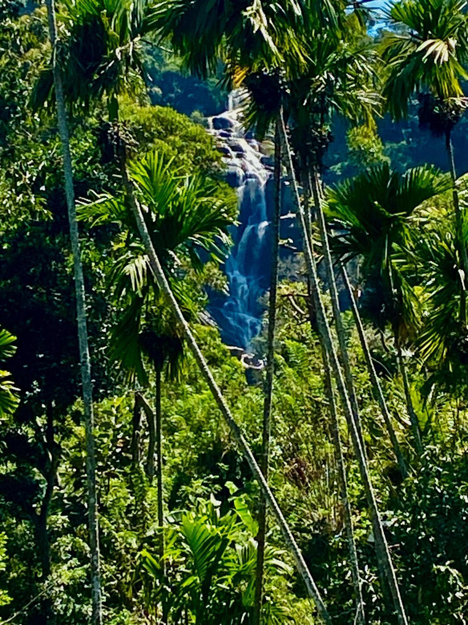 Cozy Homestay Waterfall Road エッラ エクステリア 写真