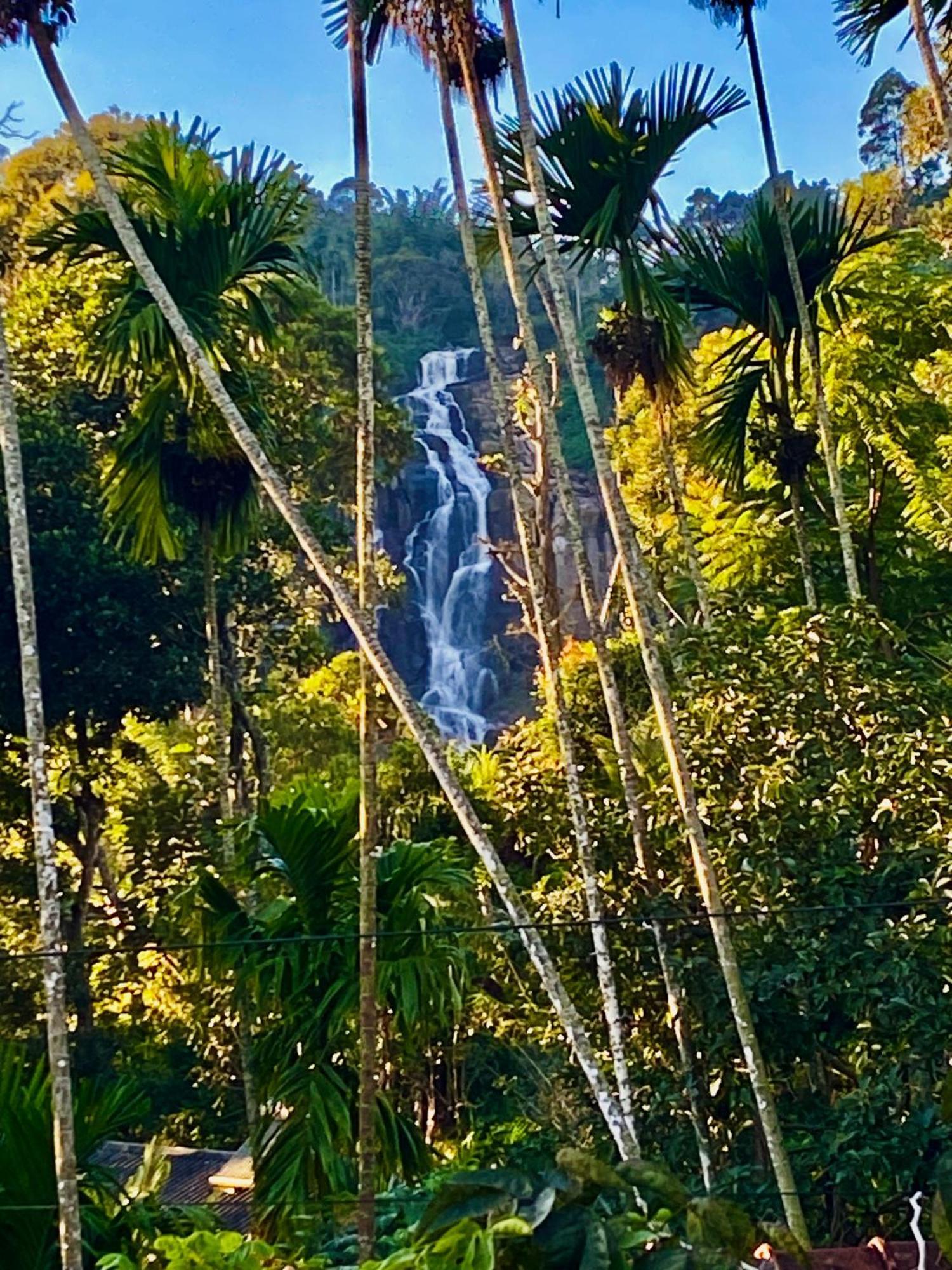 Cozy Homestay Waterfall Road エッラ エクステリア 写真