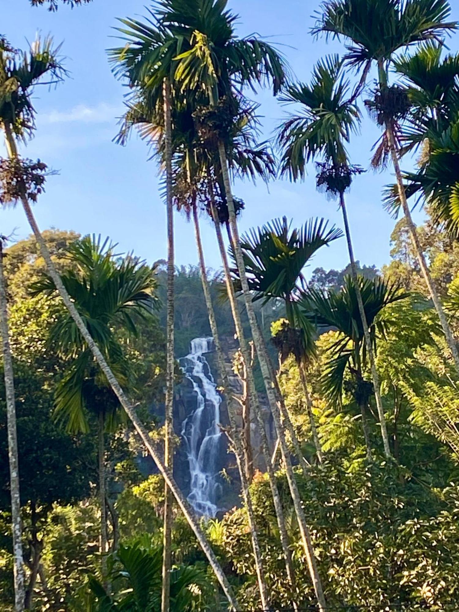 Cozy Homestay Waterfall Road エッラ エクステリア 写真