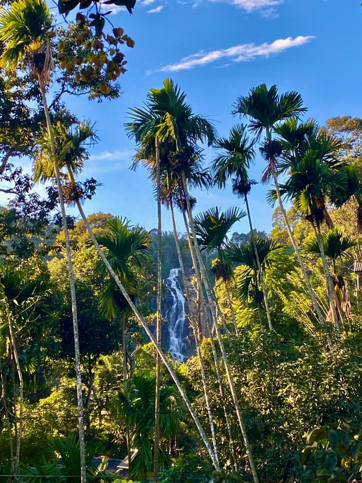 Cozy Homestay Waterfall Road エッラ エクステリア 写真