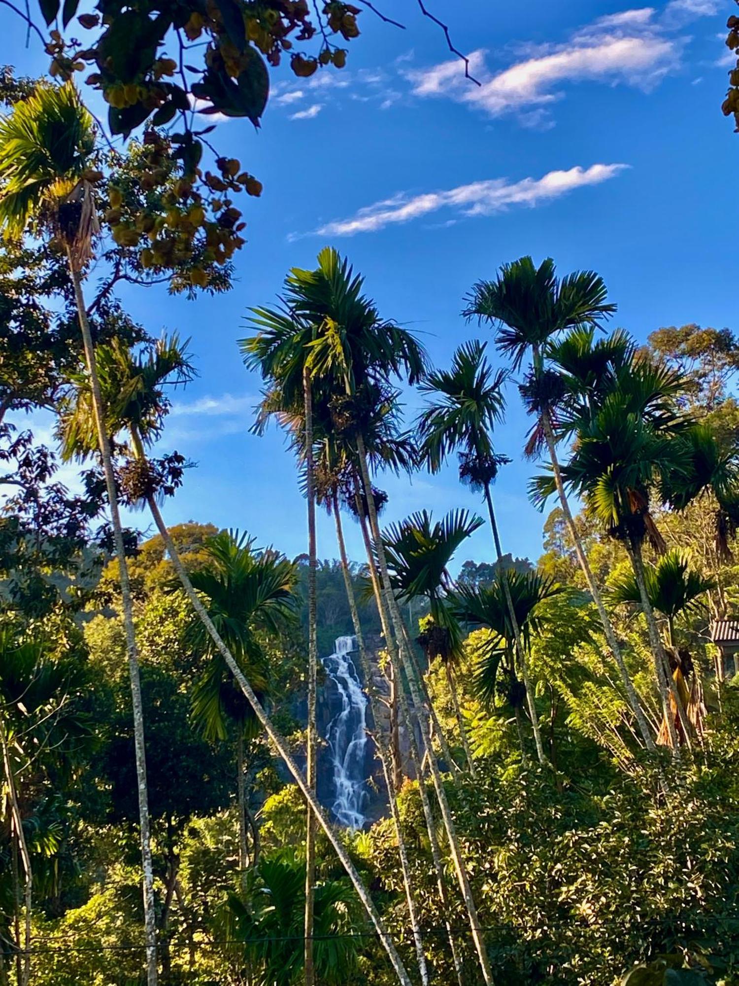 Cozy Homestay Waterfall Road エッラ エクステリア 写真