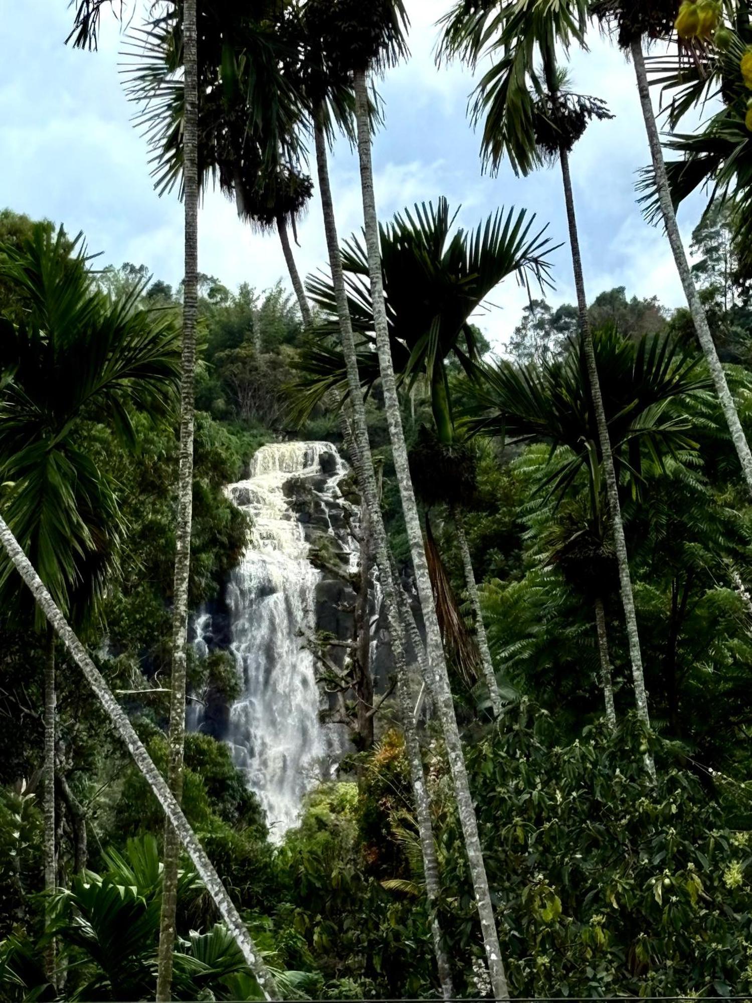 Cozy Homestay Waterfall Road エッラ エクステリア 写真